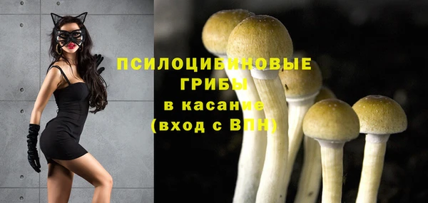 бошки Баксан