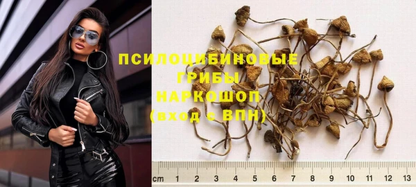 СК Балахна