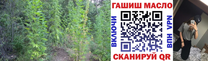 мориарти состав  ОМГ ОМГ вход  Курлово  ТГК жижа 