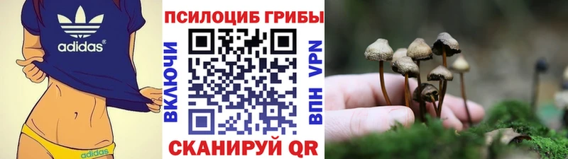 Псилоцибиновые грибы Cubensis  Курлово 